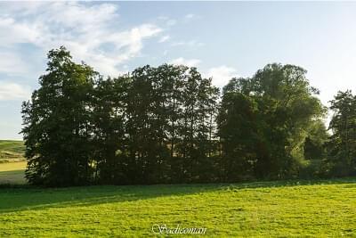 paysage