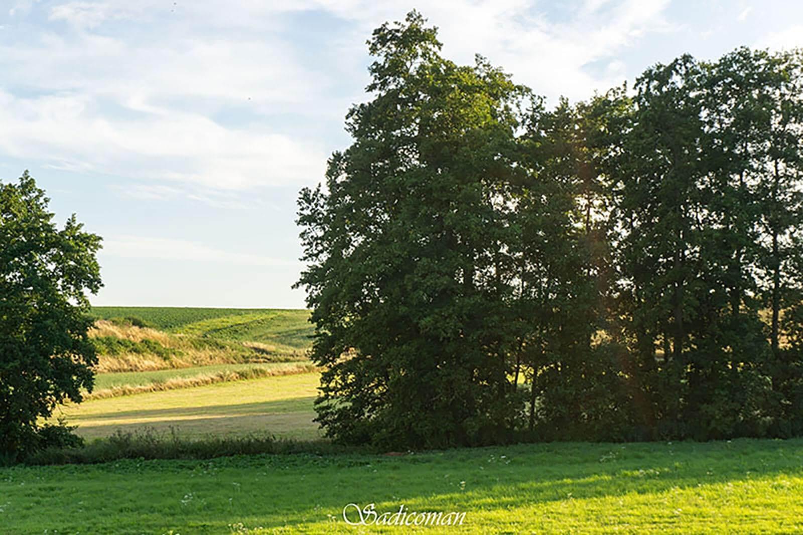 paysage