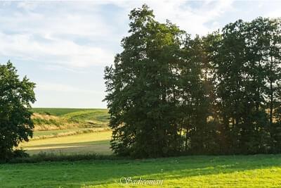 paysage
