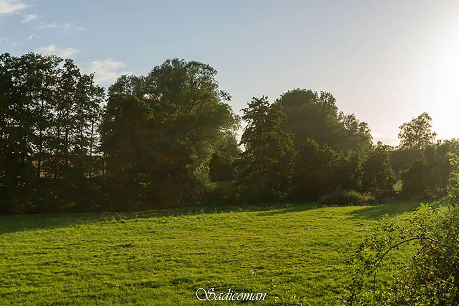 paysage