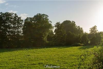 paysage