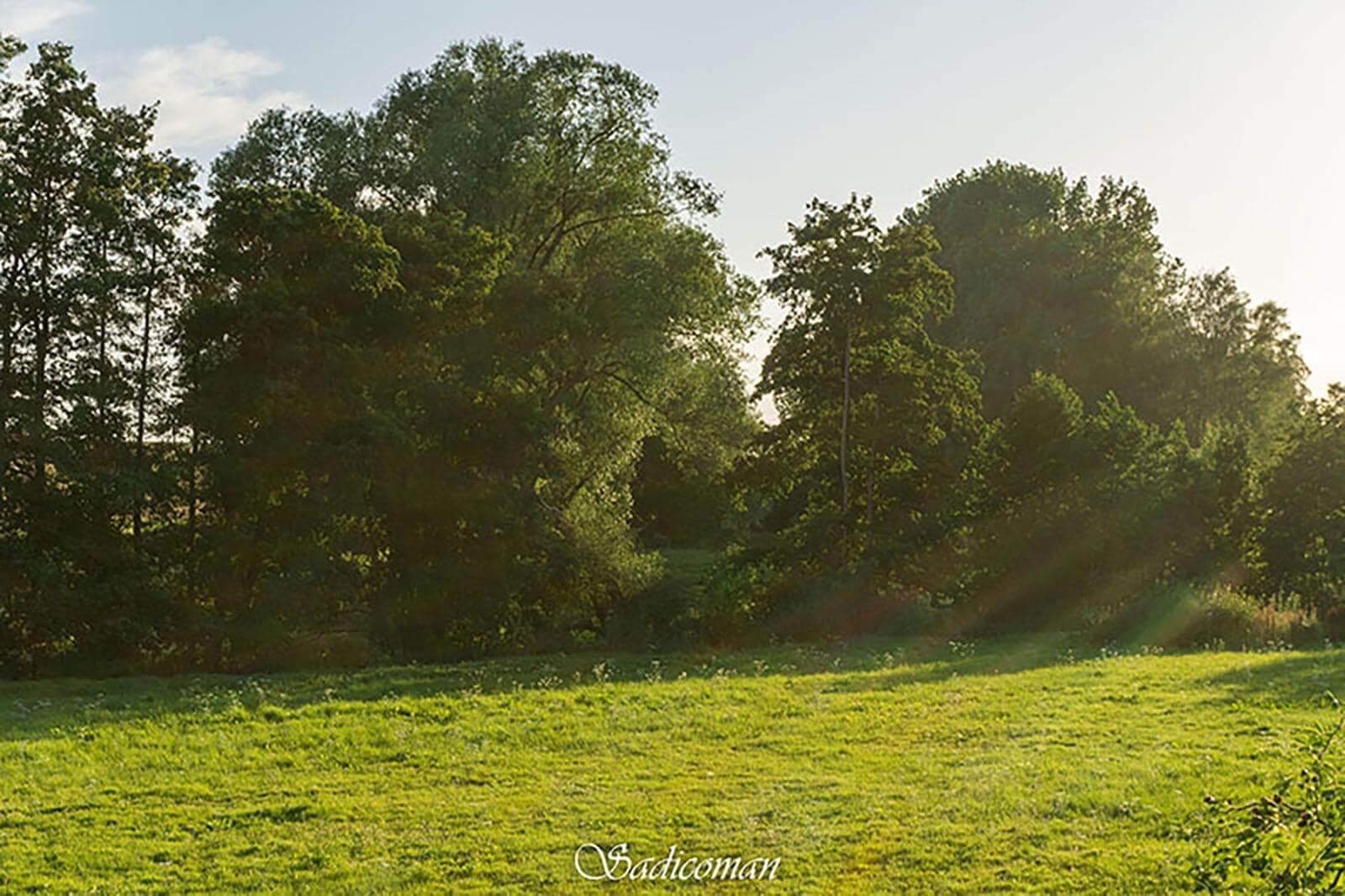 paysage