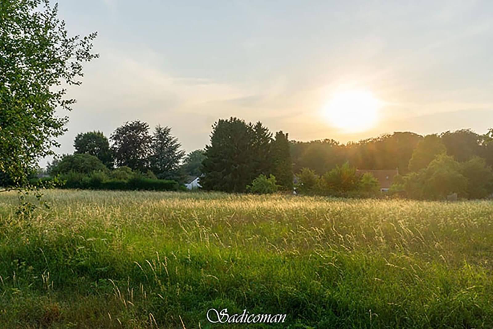 paysage