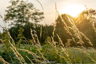 paysage