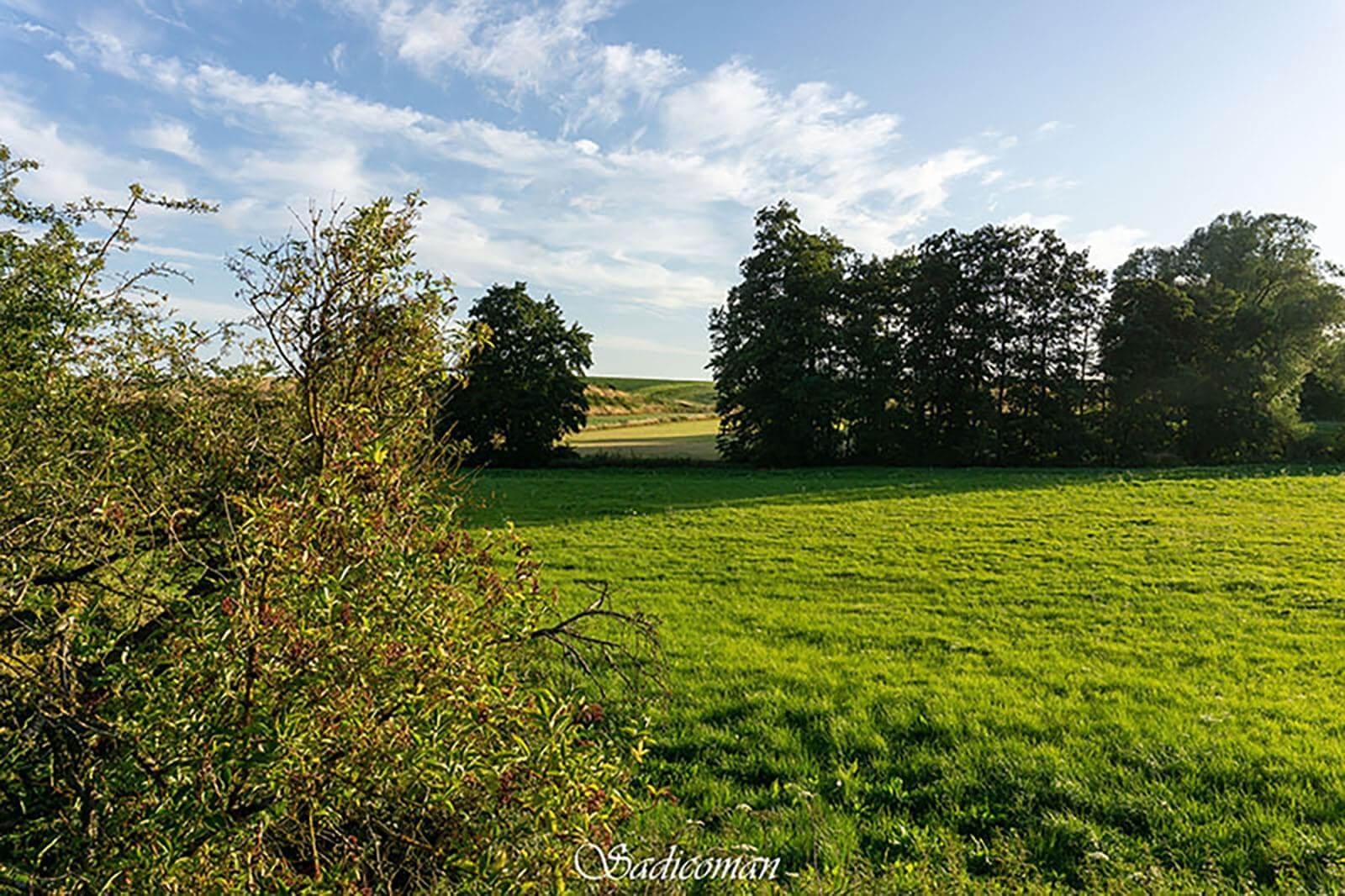 paysage