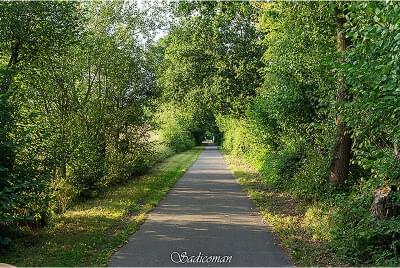 Ravel de Thuin