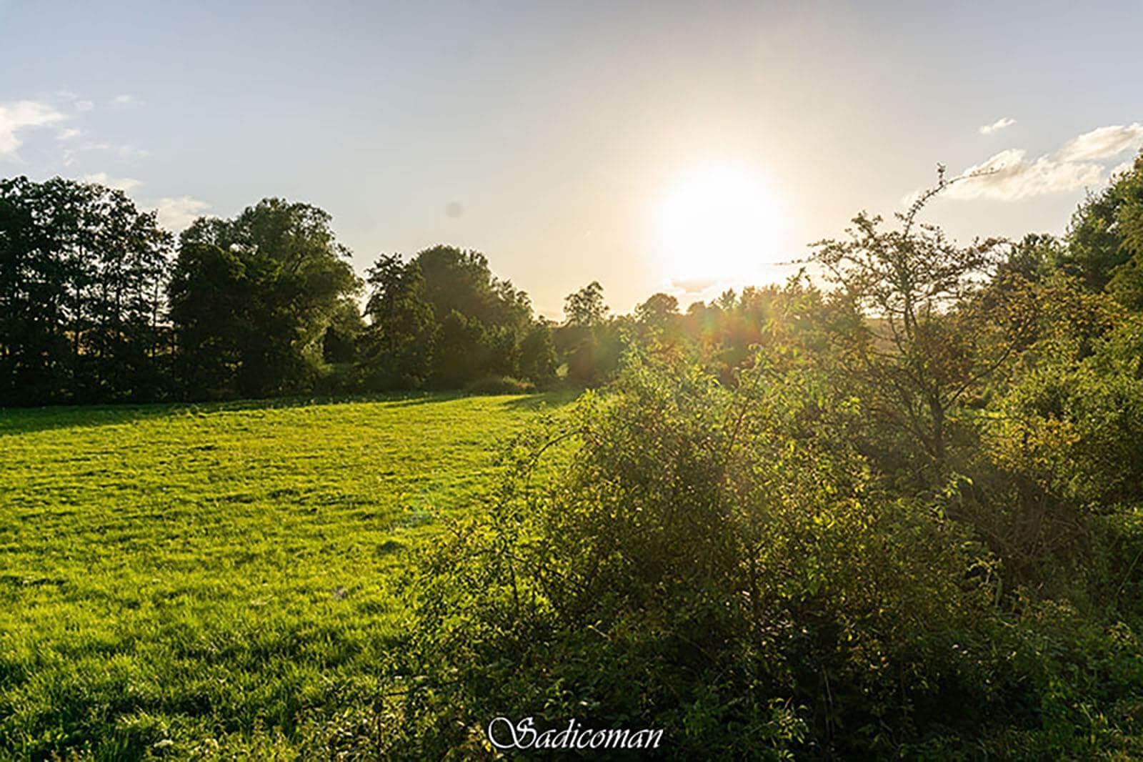 paysage