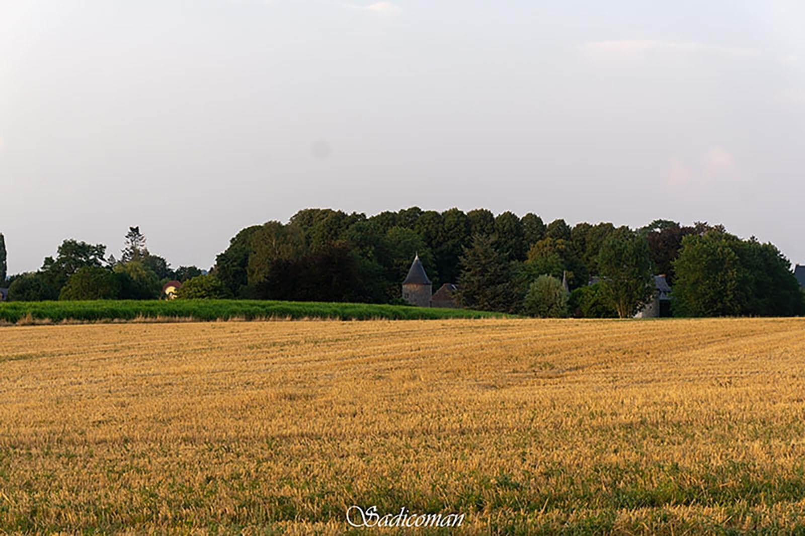 paysage