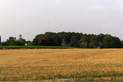 paysage